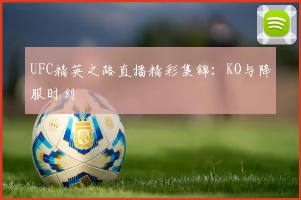 UFC精英之路直播精彩集锦:KO与降服时刻