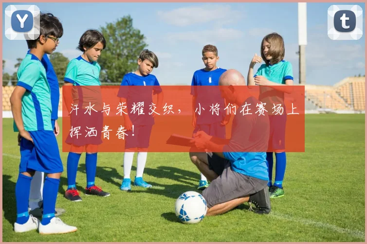 汗水与荣耀交织,小将们在赛场上挥洒青春!